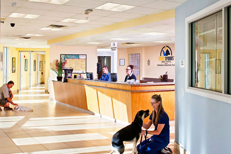 Vista Veterinary Hospital Kennewick Wa