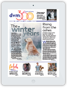 dvm360 magazine