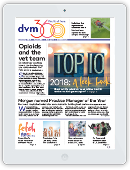 dvm360 magazine