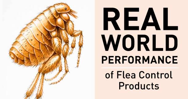 Real World Performance of Flea Control Products